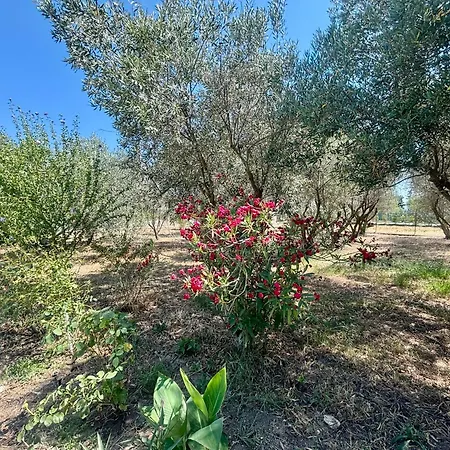 Апартаменты Azzuro By Horizon Homes *