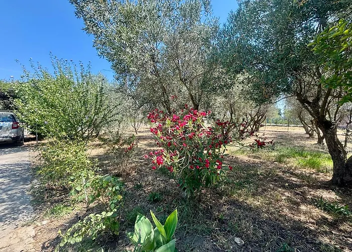 公寓 Azzuro By Horizon Homes *